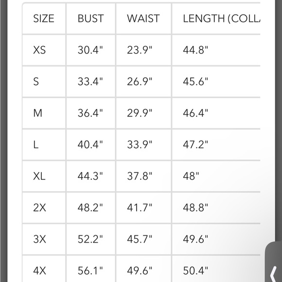 Lively ghosts nwt plague dress plus size witch goth 2x - Picture 6 of 6